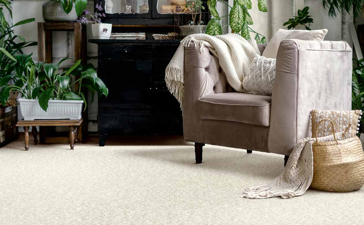 Living room with velvet accent chair and cream carpet